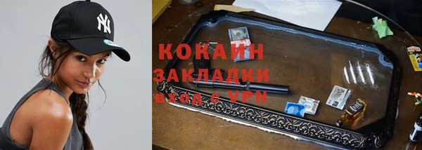 сатива Пересвет