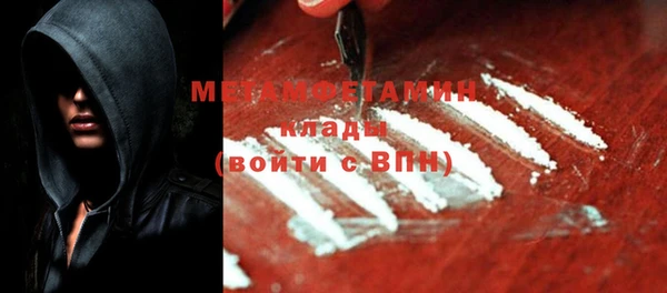 шишки Пестово