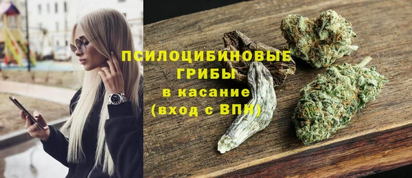 шишки Пестово