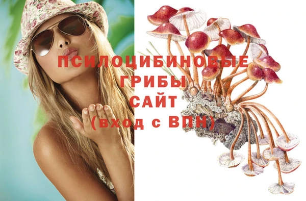 шишки Пестово