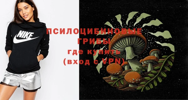 шишки Пестово