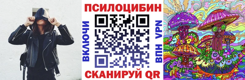 сколько стоит  Таганрог  Псилоцибиновые грибы мицелий 